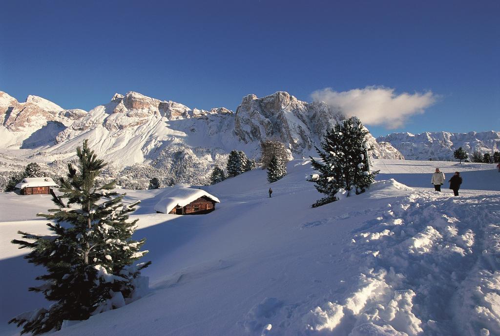 Apartments La Baita Santa Cristina Val Gardena Екстериор снимка