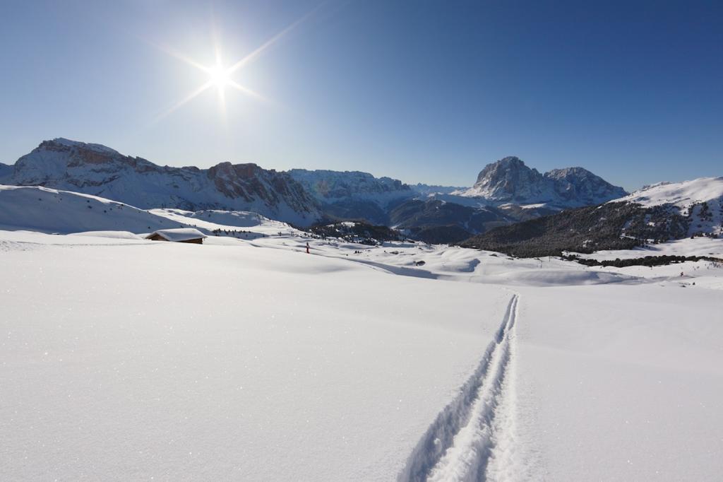 Apartments La Baita Santa Cristina Val Gardena Екстериор снимка